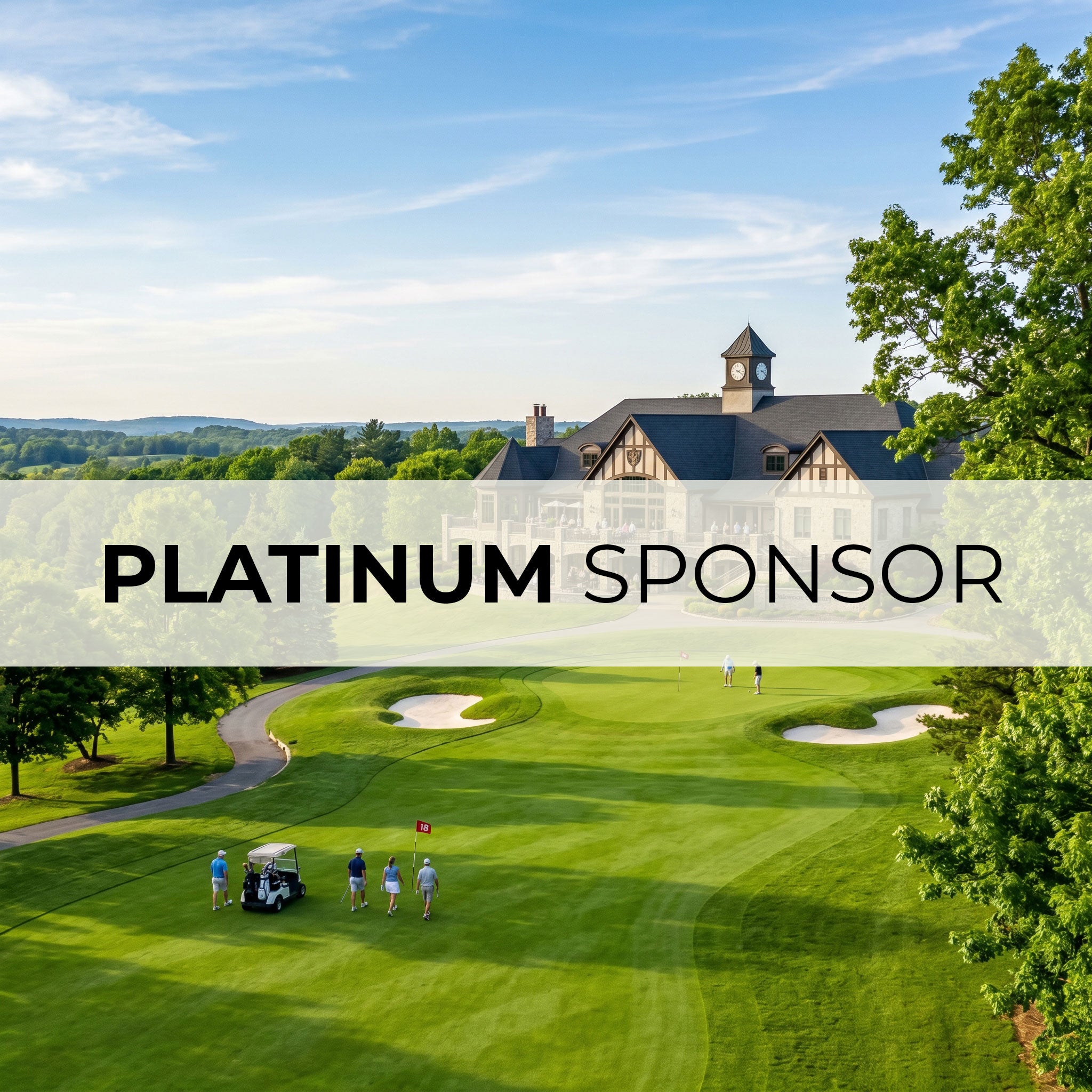 Platinum Sponsor