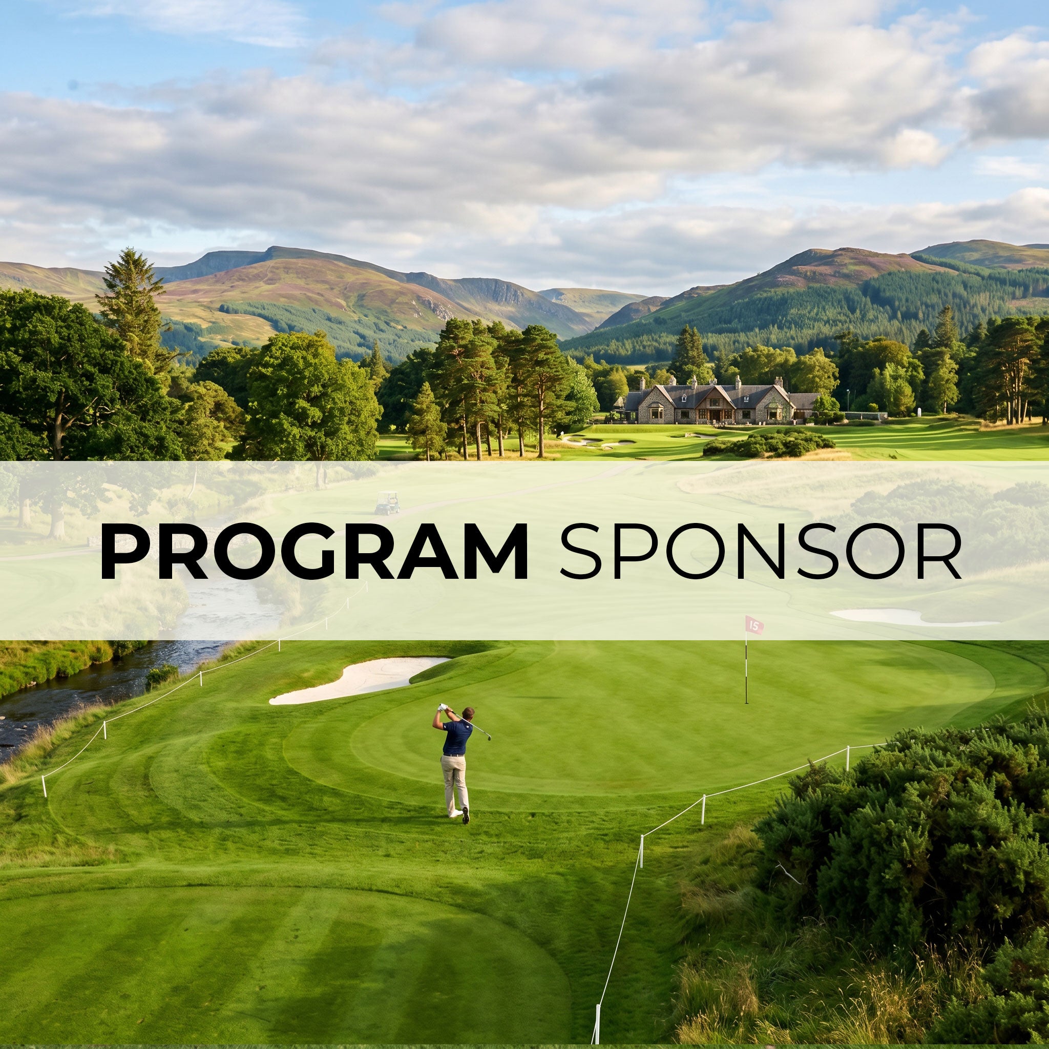 Program Sponsor